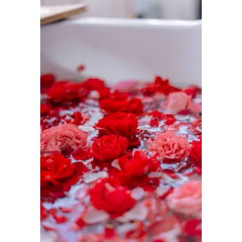 Red Rose Petal